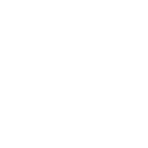 Logo Original Ritterguts Gose